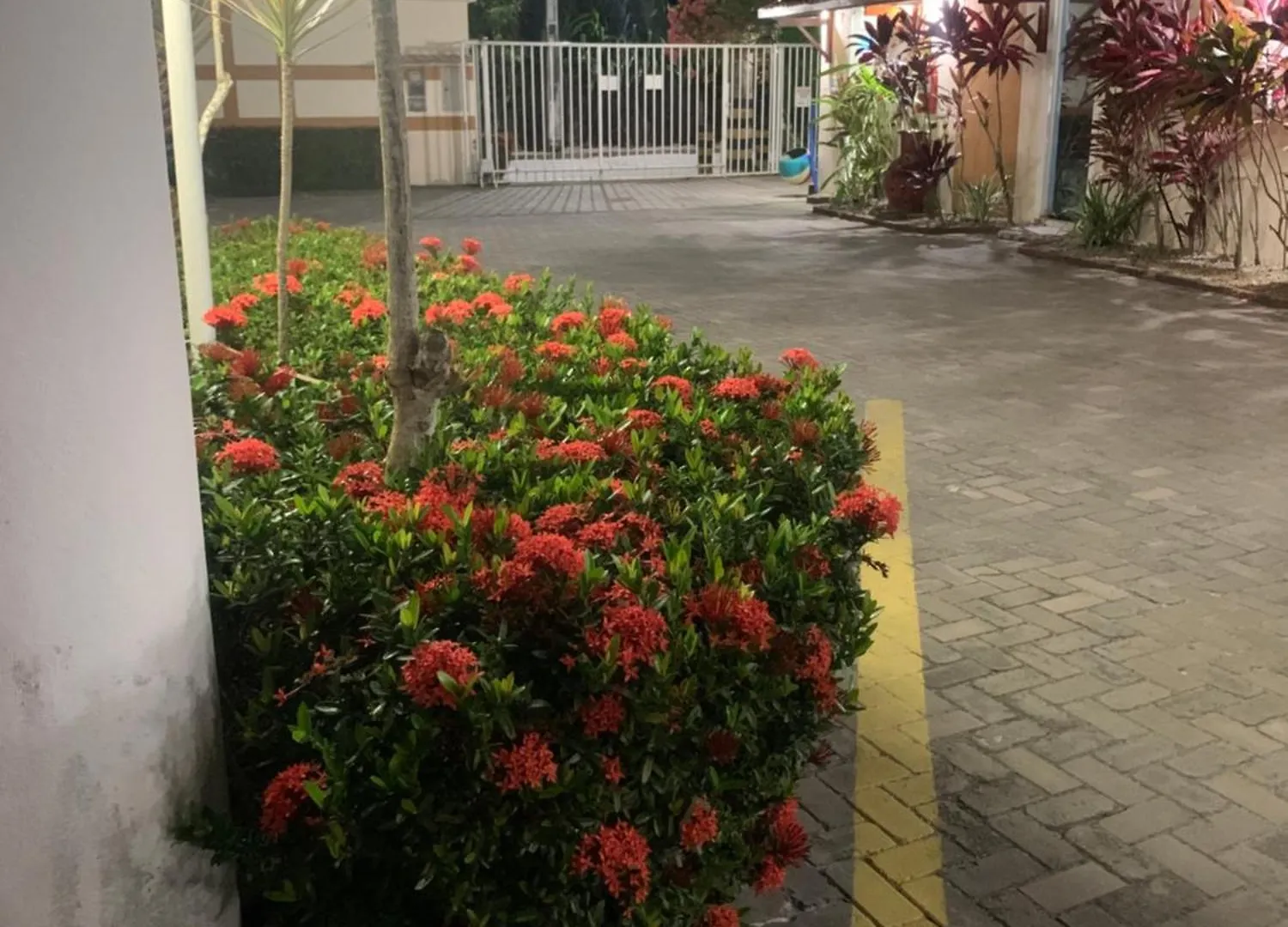 Mont Carmelo Residencial Ap 5A Rede Tonziro Lägenhet Porto Seguro Brasilien